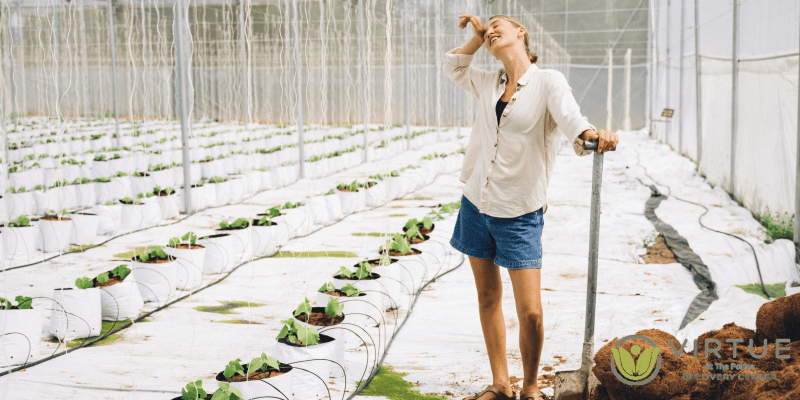 why do farmers need professional counseling