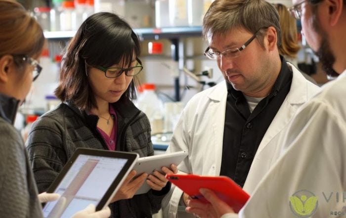 an insight into drug programs helping adults battling multiple substance dependencies